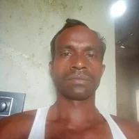 dasibha webcam