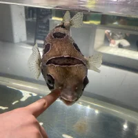 LuvHeat's Profile Pic