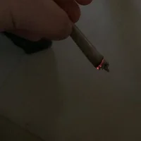 pitoriko23q