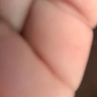 ferxolox2022