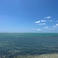 รูปอวาตาร์ของ angelmena100