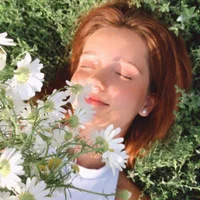 LutealIce's Profile Pic