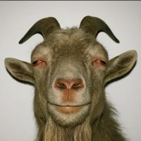 redkass: изображение аватарки