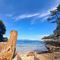 muetzenloser Avatar-Bild