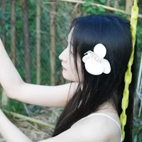 xiaoxiao5288s profilbillede