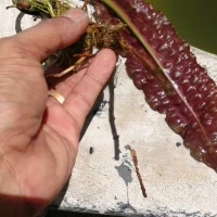 cCouple-Hunter69s Profilfoto