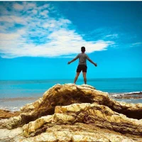 Boxeador-ec Poză de profil