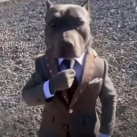 Foto del avatar de Noobclan