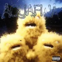 Avatar obrázek tillahuekber