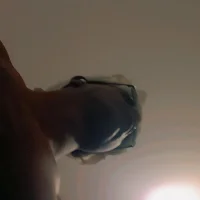 blackwethal0's Avatar Photo