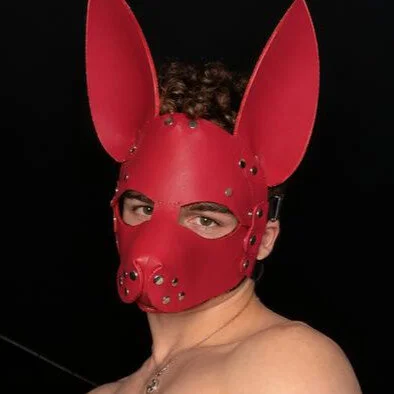 MagicFoxx profile photo
