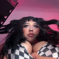 pawmistry Poză avatar