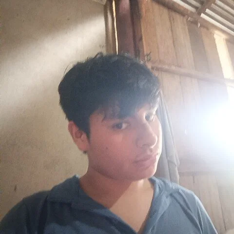Musiccrear profile photo