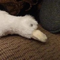 Ảnh Đ ại Diện HarryLBowes