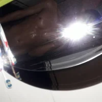 SpottedSnow's Profile Pic