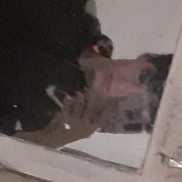 moroyblanp's Profile Pic