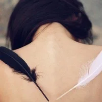 صورة الملف الشخصي لـ Leyla_Lee