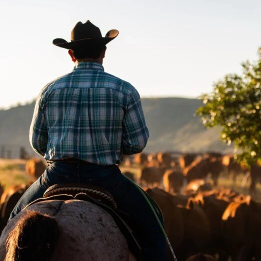 cowboy_420k profile photo