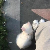 _tessa_moon - Profil Fotoğrafı