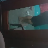 andrea69querico's Profile Pic