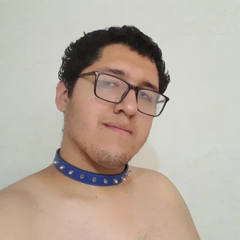 MeisanPaul profile photo