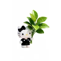 QianQianqianduoduo's Avatar Pic