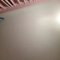 Dina20: εικόνα άβαταρ