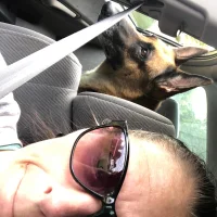 صورة الملف الشخصي لـ GimmeDatt1148