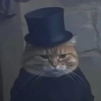 Image d’avatar de Ordered_Sonnita