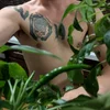 Sex Photo of CirdanEressea
