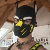 Maxpupch's Profile Pic
