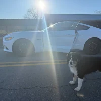 Image d’avatar de MonsterDoc