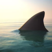 A3izy_i Gambar Avatar