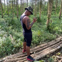 Mauriciosolisn Profiilikuva