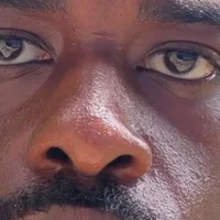 JungleTEST's Profile Pic