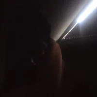 Sexprovider240