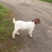 sugarbear20040's Profile Pic
