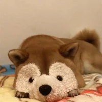 Avatar obrázek grenadefishin