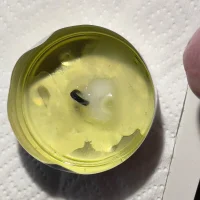 صورة أفاتار 911rsrgelb