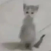 paint_it_black_ – avatarbillede