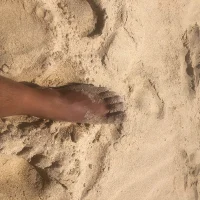 Topmast20 avatarképe