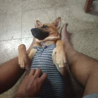 صورة أفاتار Raaagav15