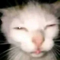 daviddddsl's Avatar Pic