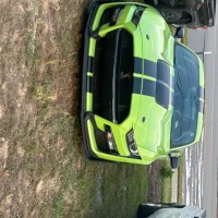 chase1988's Profile Pic