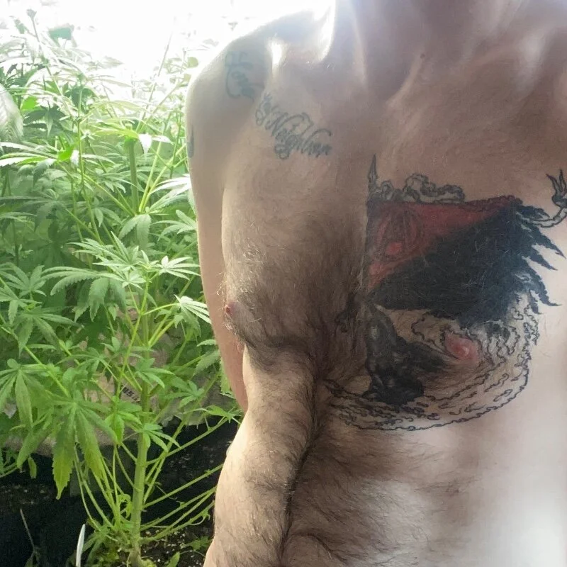 SeanSativa profile photo