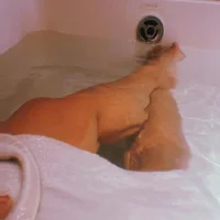 sexybitchqueen11 webcam