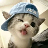 o7EeI7's Avatar Pic