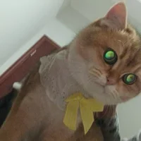 Foto del avatar de paofu_6668