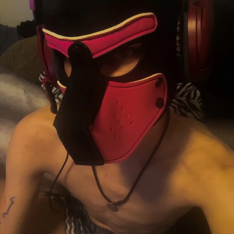 Ultraspunpup profile photo