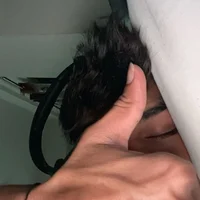 dz_z25